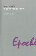 understanding phenomenology (en Inglés)
