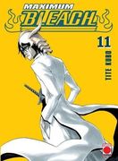 Maximum Bleach 11