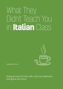 What They Didn'T Teach you in Italian Class: Slang Phrases for the Cafe, Club, Bar, Bedroom, Ball Game and More (en Inglés)