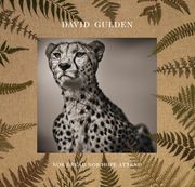 David Gulden: Nor Dread nor Hope Attend: Photographs From the Plains of Africa (en Inglés)