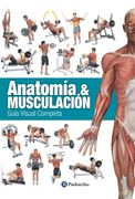 Anatomía & Musculación: Guía Visual Completa
