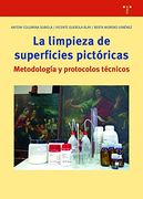 La Limpieza de las Superficies Pictóricas: Notas Para un Proceso Metódico
