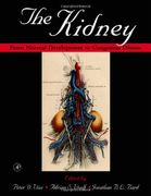 the kidney
