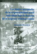 Los Límites Apropiados de la Responsabilidad Penal Individual Bajo la Doctrina de la Empresa Criminal Común