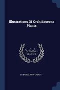 Illustrations Of Orchidaceons Plants (en Inglés)