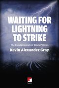 Waiting for Lightning to Strike: The Fundamentals of Black Politics (en Inglés)