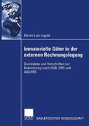 Immaterielle Güter in der Externen Rechnungslegung: Grundsätze und Vorschriften zur Bilanzierung Nach Hgb, drs und ias (en Alemán)