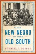 New Negro in the Old South (The American Literatures Initiative)