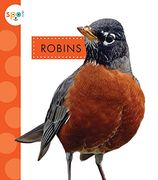 Robins (Spot Backyard Animals) (en Inglés)