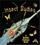 insect bodies (en Inglés)