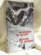 Ni siquiera el diluvio - Misterio de navidad