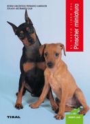 Pinscher Miniatura (in Spanish)