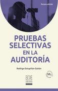 Pruebas Selectivas en la Auditoria