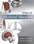 atlas of skeletal muscles