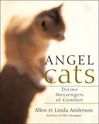 angel cats,divine messengers of comfort