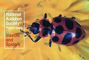 National Audubon Society Pocket Guide: Insects and Spiders (National Audubon Society Pocket Guides) (en Inglés)