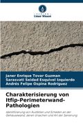 Charakterisierung von Itfip-Perimeterwand-Pathologien (en Alemán)