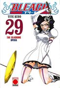 Bleach 29