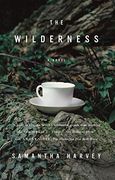 The Wilderness (en Inglés)