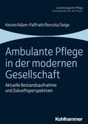 Ambulante Pflege in Der Modernen Gesellschaft: Aktuelle Bestandsaufnahme Und Zukunftsperspektiven (en Alemán)