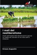 I mali del neoliberalismo (in Italian)