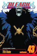 bleach, volume 43