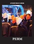 Perm: Electronic Labor Certifications for Employment Petitions (en Inglés)