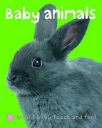 baby animals (en Inglés)