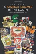 A Baseball Summer in the South: Photos of the Appalachian League 2015