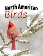 North American Birds: Extra-Large Print With Names (For Adults With Dementia and Other Life Challenges) (en Inglés)