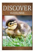 Ducklings - Discover: Early reader's wildlife photography book (en Inglés)