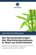 Die Herausforderungen des Wachstumsprozesses in Start-up-Unternehmen. Untersuchung der Denkweise von Start-ups in Bezug auf Wachstum und der Prozesse, mit denen sie exponentielles Wachstum vorantreiben (in German)