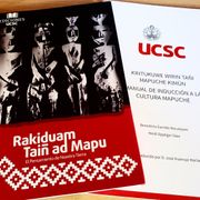 Rakiduam Taiñ ad Mapu