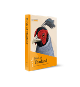 Birds of Thailand