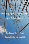 Looking Up At The Ground: And Other Poems (en Inglés)