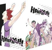 Haikyu! Sammelbox 4 - Band 40 mit Sammelschuber (in German)