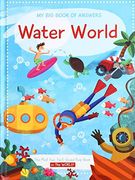 My big Book of Answers: Water (en Inglés)