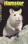 Mi Hamster