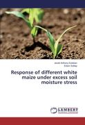 Response of different white maize under excess soil moisture stress