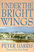 under the bright wings (en Inglés)