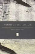 Punto de Ebullicion: Antologia de la Poesia Contemporanea en Gallego (Ed. Bilingue) (en Gallego, Español)
