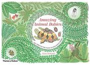 Amazing Animal Babies (Hardback) (en Inglés)