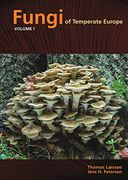 Fungi of Temperate Europe (en Inglés)