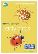 Rspb id Spotlight - Ladybirds 