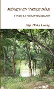 México en trece días y toda la vida en mi corazón (in Spanish)