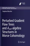 Perturbed Gradient Flow Trees and A∞-Algebra Structures in Morse Cohomology (en Inglés)