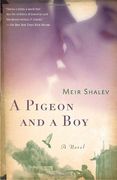 Pigeon and a boy (en Inglés)