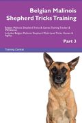 Belgian Malinois Shepherd Tricks Training Belgian Malinois Shepherd Tricks & Games Training Tracker & Workbook. Includes: Belgian Malinois Shepherd Mu (en Inglés)