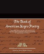 the book of american negro poetry