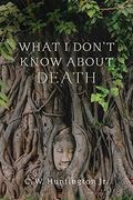 What i Don'T Know About Death: Reflections on Buddhism and Mortality (en Inglés)